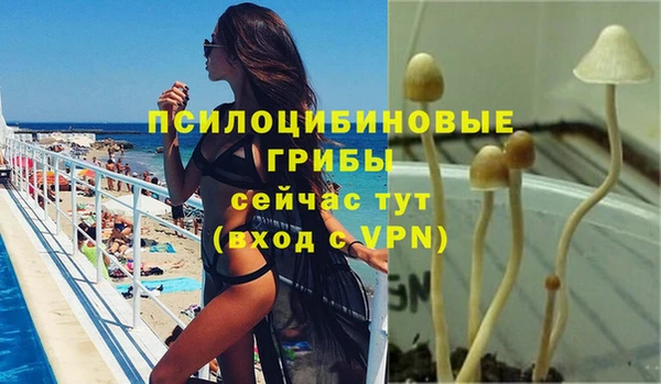 хмурый Осташков