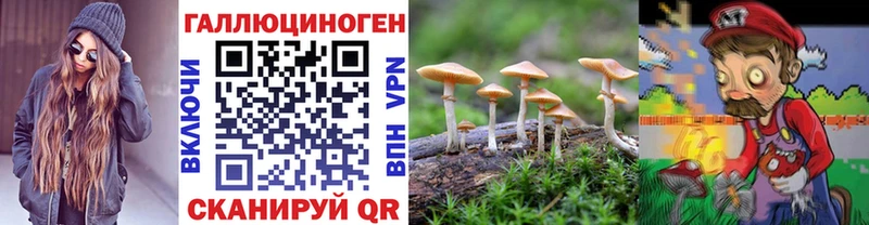 Псилоцибиновые грибы Cubensis Нижний Новгород
