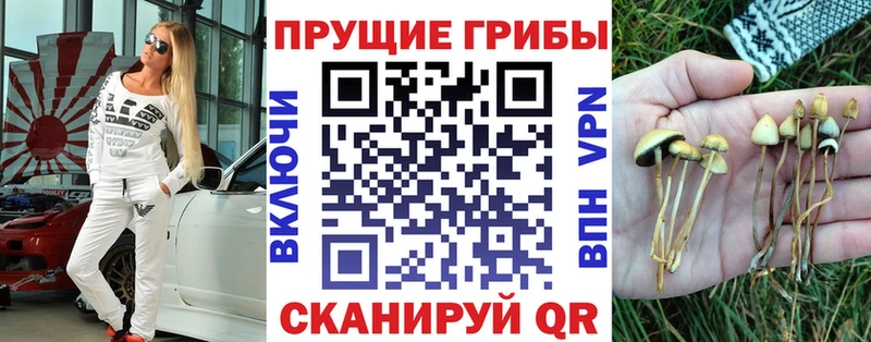 мега зеркало  Нижний Новгород  Галлюциногенные грибы ЛСД  закладка 