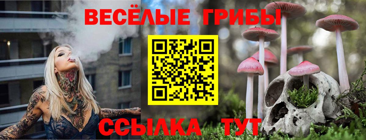 Псилоцибиновые грибы Cubensis Нижний Новгород